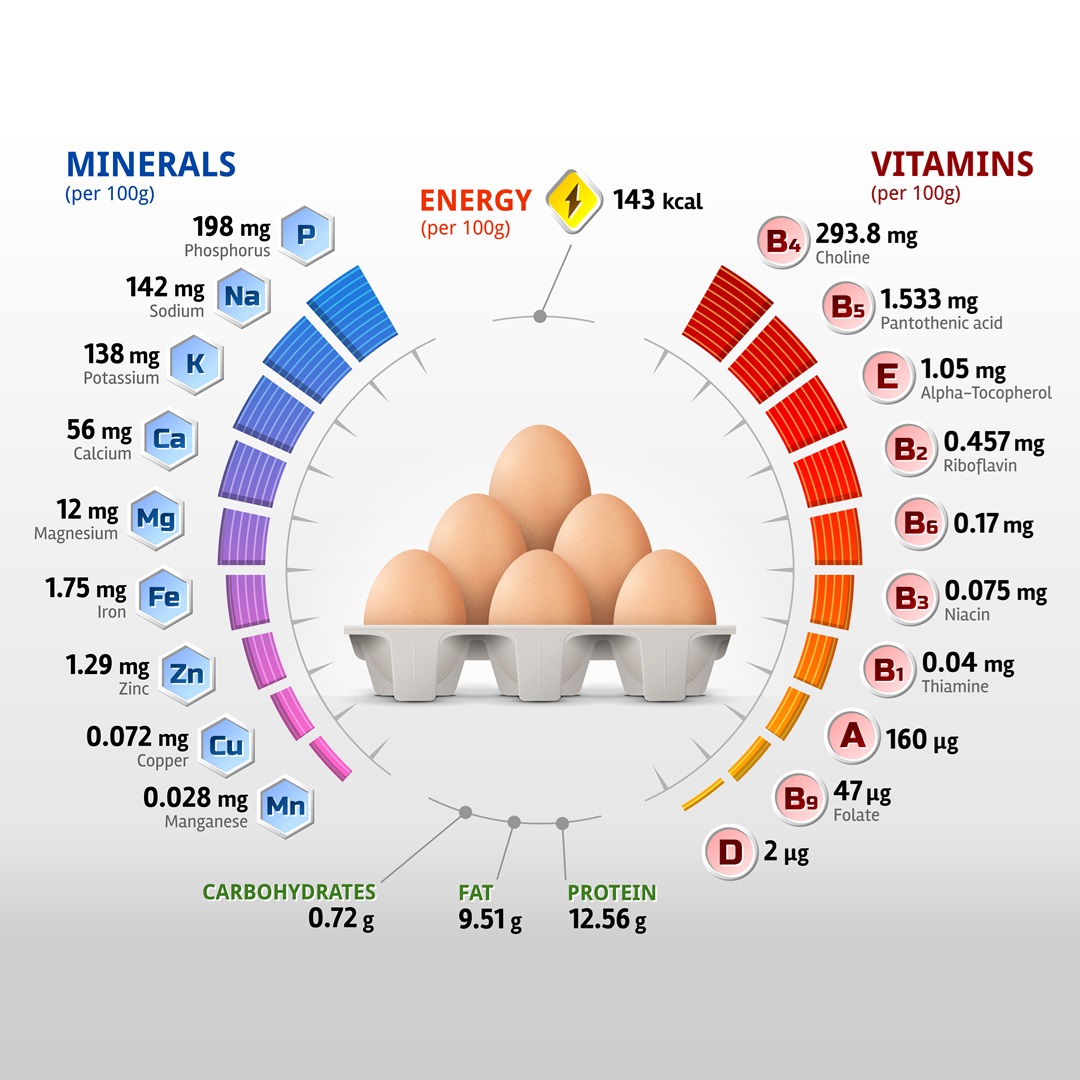 The Incredible Benefits of the Simple Egg
