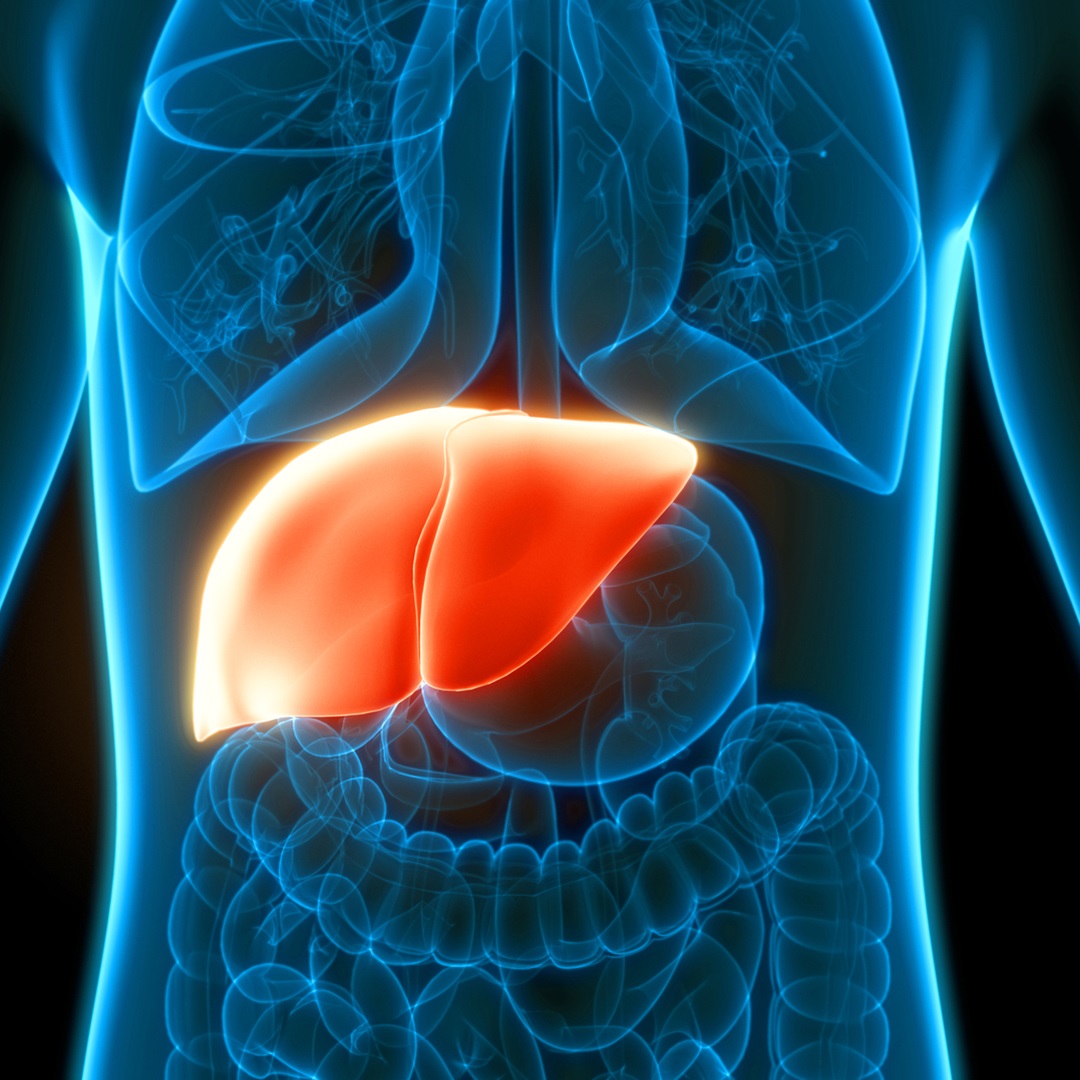 Understanding Non-Alcoholic Fatty Liver Disease