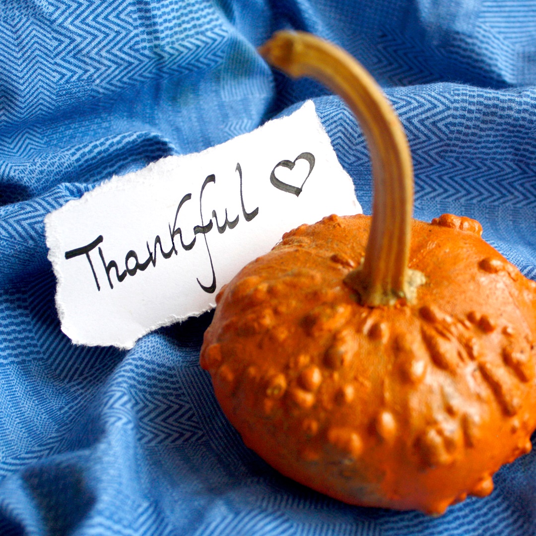 The True Spirit of Thanksgiving: Gratitude, Kindness, and Growth